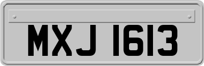 MXJ1613