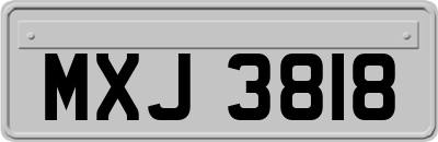 MXJ3818