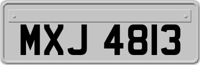 MXJ4813