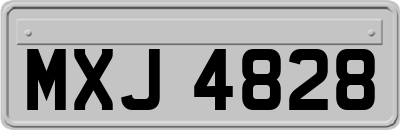 MXJ4828