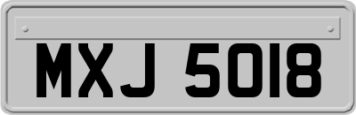 MXJ5018