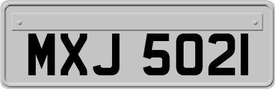 MXJ5021