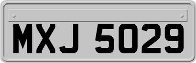 MXJ5029