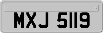 MXJ5119