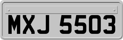 MXJ5503
