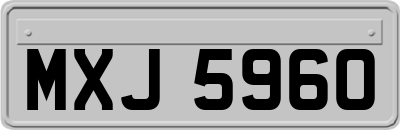 MXJ5960