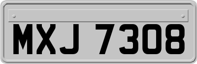 MXJ7308