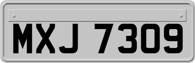 MXJ7309