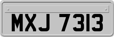 MXJ7313