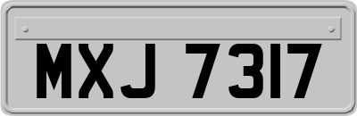 MXJ7317