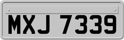 MXJ7339