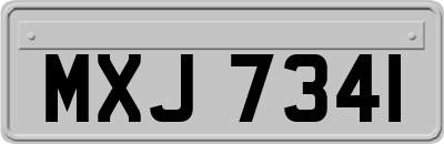 MXJ7341