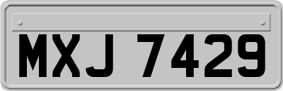 MXJ7429