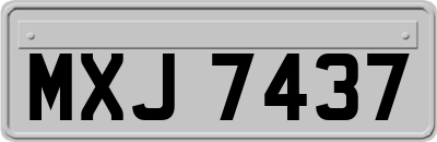 MXJ7437