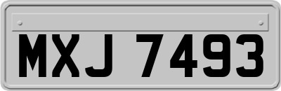 MXJ7493