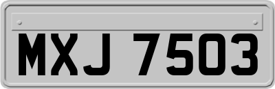 MXJ7503