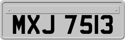 MXJ7513