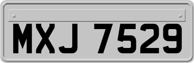 MXJ7529