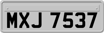 MXJ7537