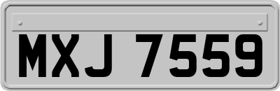 MXJ7559