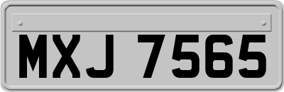 MXJ7565