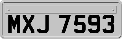 MXJ7593