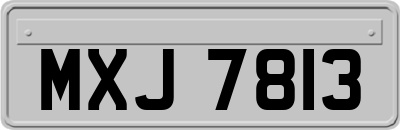 MXJ7813