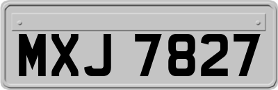 MXJ7827