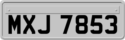 MXJ7853