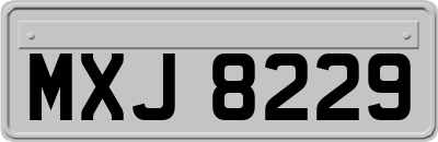 MXJ8229