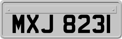 MXJ8231