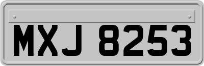 MXJ8253