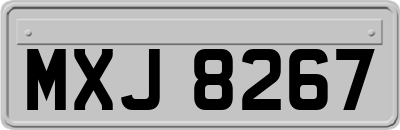 MXJ8267