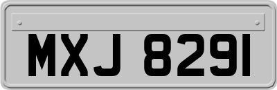 MXJ8291