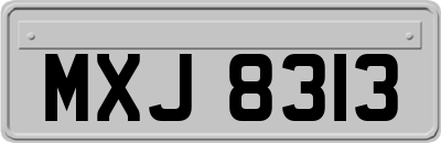 MXJ8313