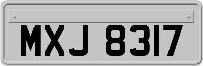 MXJ8317