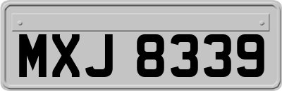 MXJ8339