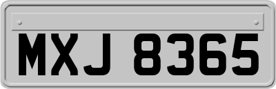 MXJ8365