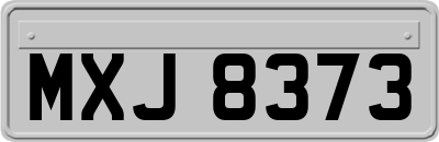 MXJ8373