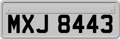 MXJ8443