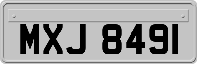 MXJ8491