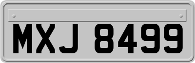 MXJ8499