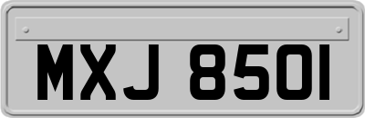 MXJ8501