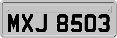 MXJ8503