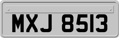 MXJ8513