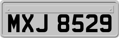 MXJ8529