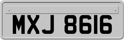 MXJ8616