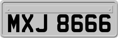 MXJ8666