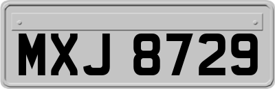 MXJ8729