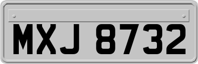 MXJ8732